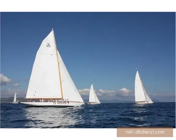 帆船规则之探索与实践：追求速度与安全的完美平衡