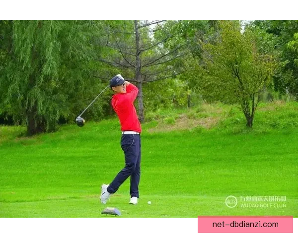 高尔夫运动：优雅挥杆，征服绿茵场