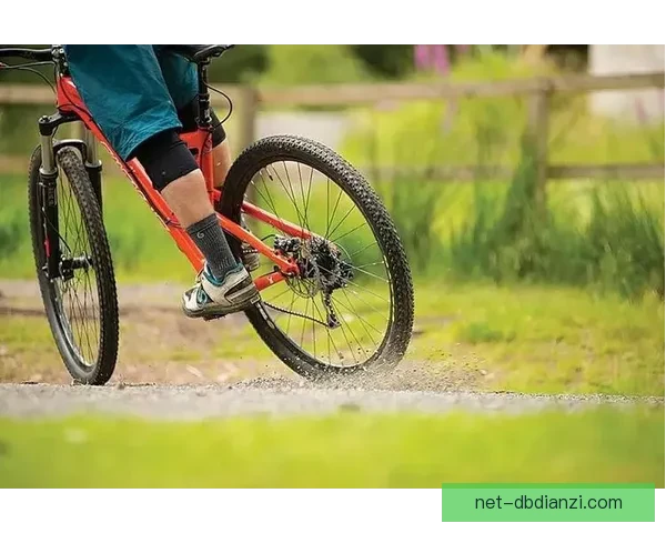 山地车数据分析：探索骑行趋势，解读行程数据，挖掘骑行乐趣