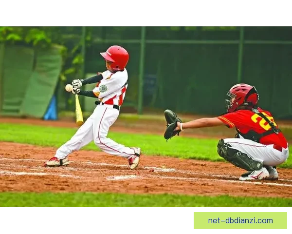 棒球数据分析：洞察胜负关键，凝聚胜利密码