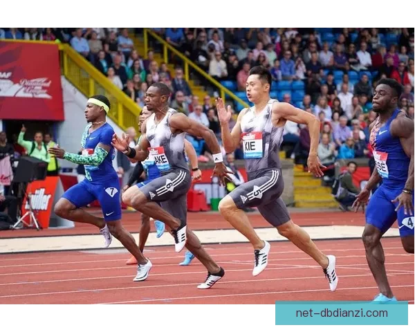 极速风暴：挑战赛车锦标赛巅峰