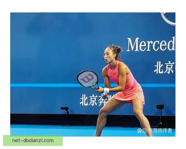 网球世界排名榜与赛事排名解读