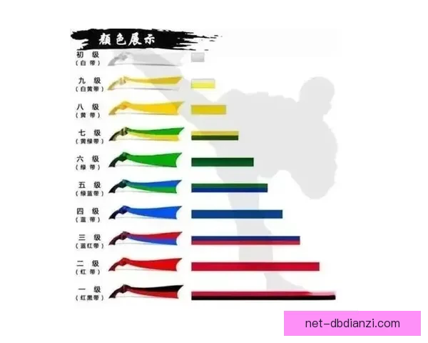 跆拳道初学者必知的基础入门教程