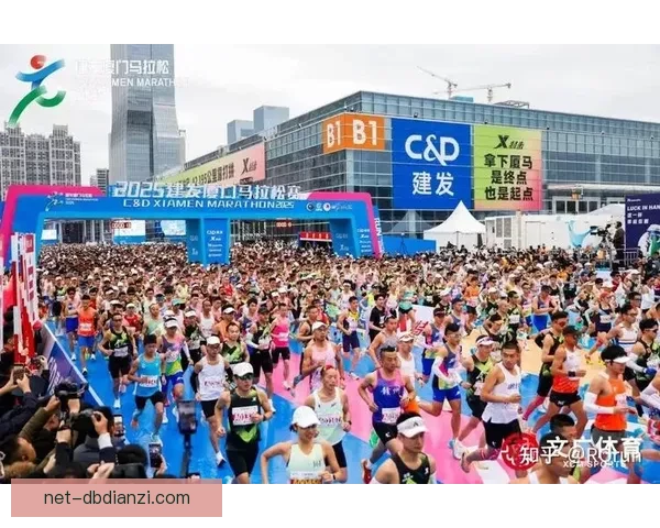 马拉松数据解读与分析综述