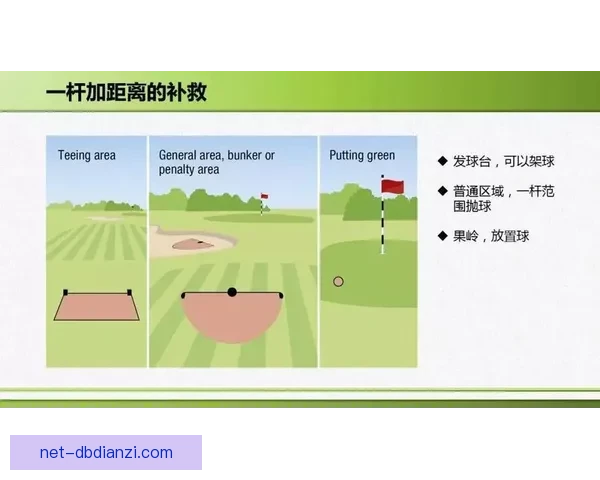 高尔夫规则全解析及常见违规情况详解